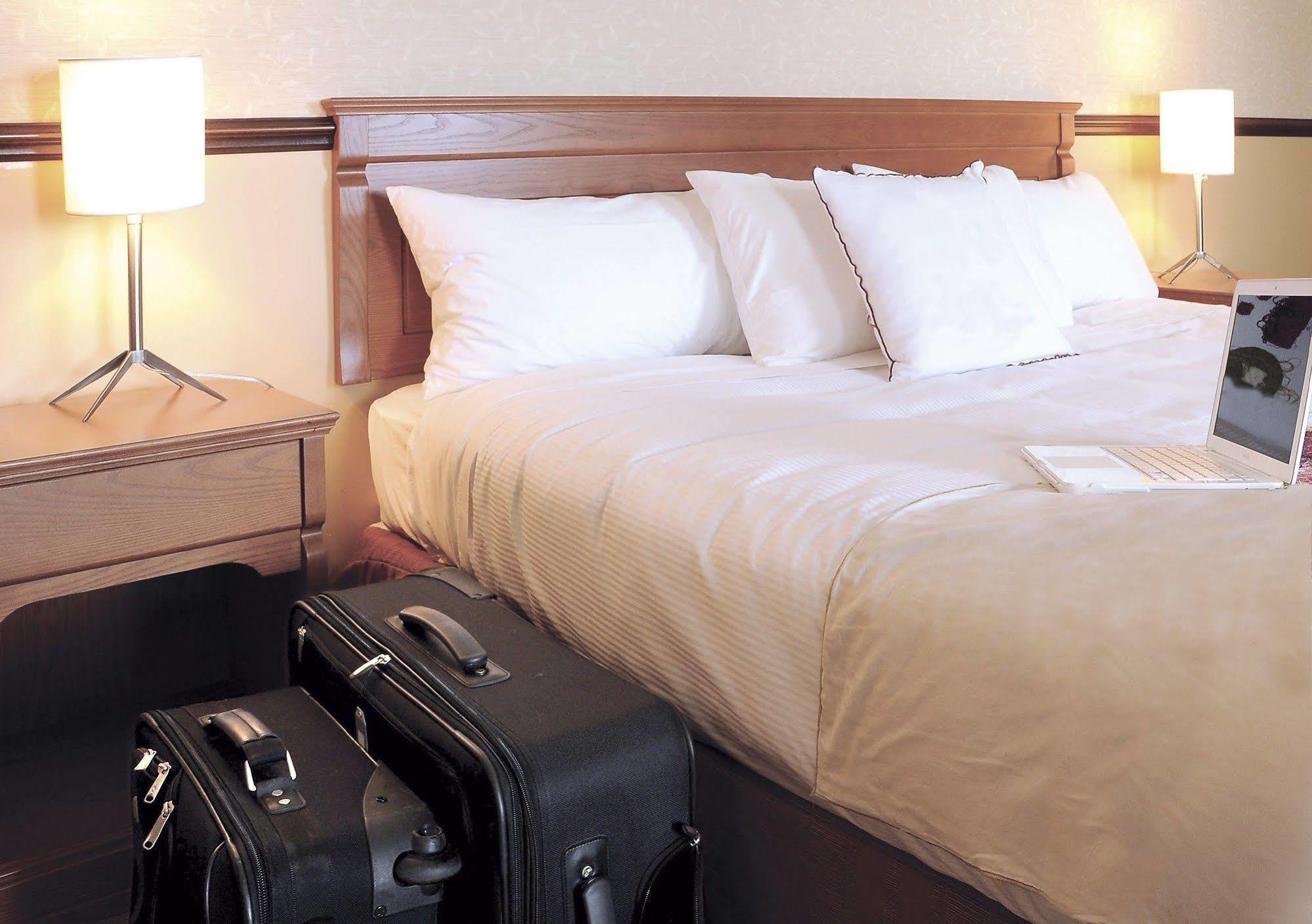 Hotel Universel Alma Dış mekan fotoğraf